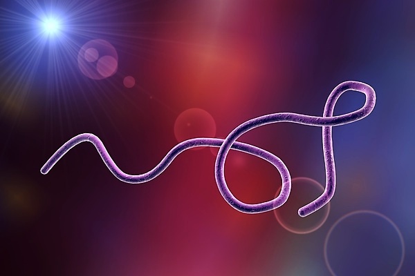 포토 JPG 해외이미지 과학 일러스트 생물 세포 나선형 건강 현미경 실험 사람 사람없음 약 3D 고통 열 벌레 질병 공격 생물학 싸움 감염 미생물 박테리아 전염병 해외202008 해외포토 교육 감정 곤충 무늬 의학 모션 실험기구 디지털합성 파일형식