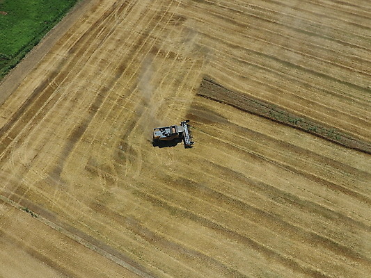 포토 JPG 해외이미지 식물 직업 계절 산업 문화 백그라운드 밭 농업 자연 풍경 사람없음 야외 여름 농작물 농장 농경지 노란색 기계 장비 수확 성장 시골 계획 정상 결합 낟알 자르기 밀 만들기 보리 먼지 밀짚 로딩 숙성 옛날 호밀 수평선 해외202008 해외포토 컬러 컨셉 모션 곡류 짚 생태계 파일형식