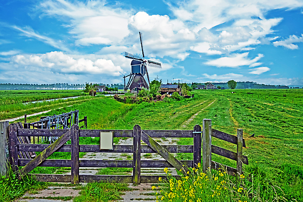 포토 JPG 해외이미지 전통 함께함 풍경 풍차 시골 네덜란드 A 해외202008 해외포토 알파벳 유럽 컨셉 파일형식