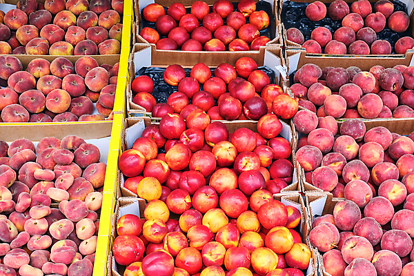 포토 JPG 해외이미지 잡화 음식 조각 백그라운드 잎 다이어트 오렌지 과일 재료 건강 사람없음 상자 판매 쌓기 상점 주스 신선 그룹 시장 달콤 복숭아 내추럴 분양 비타민C 숙성 많음 맛있는 해외202008 해외포토 식물 음료 컨셉 모션 부동산 맛 비타민 파일형식
