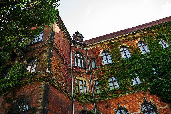 포토 JPG 해외이미지 건물 계획 건축가 박물관 브로츠와프 옛날 전국 해외202008 해외포토 직업 건축물 컨셉 파일형식