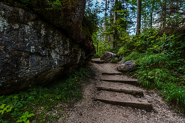 포토 JPG 해외이미지 나무 식물 여행 잎 자연 동화 요정 숙이기 이끼 사람없음 초록색 물 여름 달리기 일몰 봄 산책 트래킹 하이킹 낭만 에너지 안개 가을 나뭇가지 개울 숲 신비 오솔길 무서움 비밀 먼지떨이 입장 알프스 뿌리 마법 깊이 돌봄 방법 해외202008 해외포토 자연요소 계절 감정 유럽 길 컬러 포즈 컨셉 모션 레저 날씨 휴식 강 노을 청소도구 생태계 파일형식