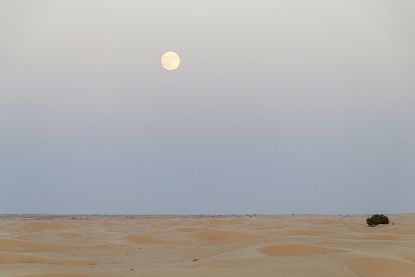 포토 JPG 해외이미지 모래 여행 백그라운드 아프리카 자연 벽지 하늘 표면 건조 풍경 사람없음 야외 여름 빛 노란색 우주 일몰 사막 달 저녁 모래언덕 사하라 내추럴 튀니지 수평선 카피스페이스 해외202008 해외포토 자연요소 계절 나라 컬러 노을 공백 야간 언덕 생태계 파일형식