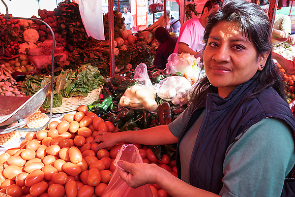포토 JPG 해외이미지 잡화 음식 농업 다이어트 토마토 채소 오렌지 과일 자연 오이 선반 씨앗 한명 서기 빨간색 초록색 쇼핑 농장 세일 상점 식사 샐러드 신선 시장 구매 상품 쇼핑몰 고객 양배추 날것 소매 슈퍼마켓 매각 채식주의자 체크리스트 해외202008 해외포토 식물 1 산업 컬러 가구 모션 건강 사람 생태계 채식 파일형식