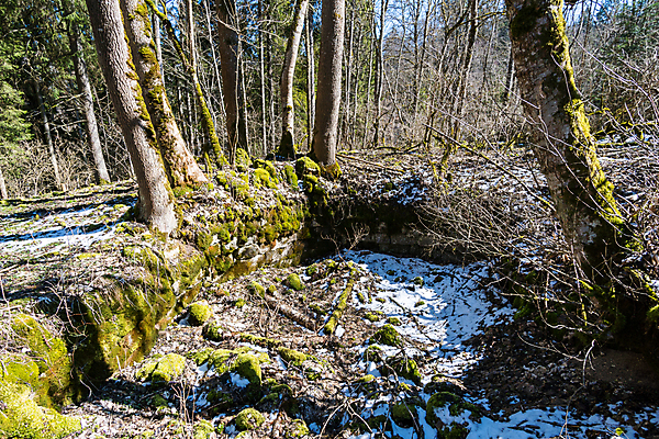 포토 JPG 해외이미지 나무 응시 여행 자연 휴가 산 파노라마 풍경 초원 사람없음 야외 초록색 파란색 관광지 강 컬러풀 하이킹 시골 성 숲 크루즈 장면 지형 다뉴브강 방법 파멸 해외202008 해외포토 식물 건축물 시선 컬러 컨셉 배_교통 레저 촬영기법 생태계 파일형식 소멸