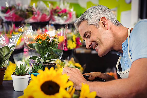 포토 JPG 해외이미지 백인 남자 꽃 화분 줄기 해바라기 실내 한명 성인 옆모습 30대 앞치마 자르기 다발 꽃집 다듬기 성인남자한명만 해외202008 해외포토 서양인 식물 1 뷰포인트 모션 사람 내부 장년 상점 남자한명만 성인남자만 파일형식