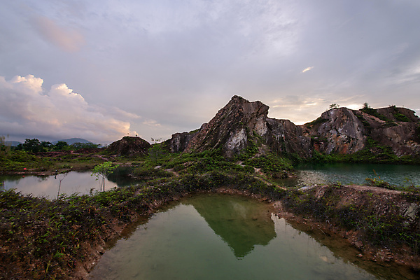 포토 JPG 해외이미지 개구리 반사 언덕 해외202008 해외포토 양서류 파일형식