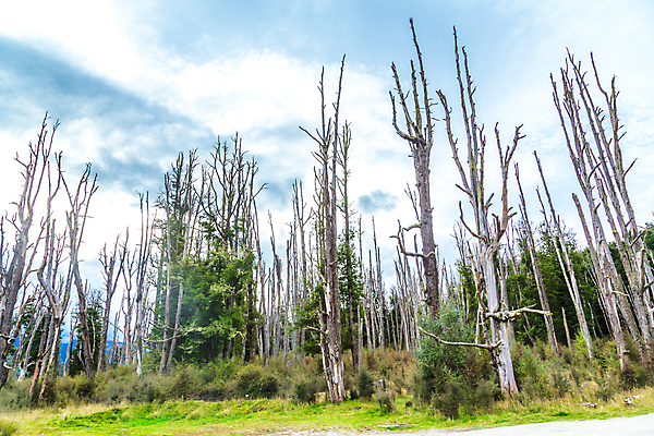 포토 JPG 해외이미지 새로움 도시 해외202008 해외포토 컨셉 파일형식