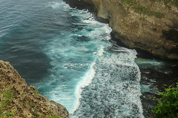 포토 JPG 해외이미지 꽃 파노라마 세로 인도인 발리 장면 남쪽 넘어짐 해외202008 해외포토 외국인 식물 섬 모션 촬영기법 동양인 방향 인도네시아 파일형식