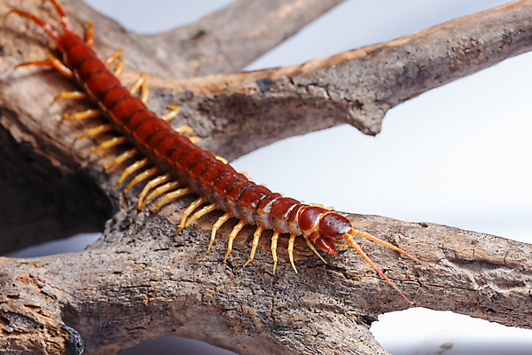 포토 JPG 해외이미지 해외202008 해외포토 파일형식