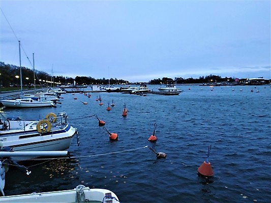 포토 JPG 해외이미지 요트 보트 클럽 해외202008 해외포토 배_교통 파일형식