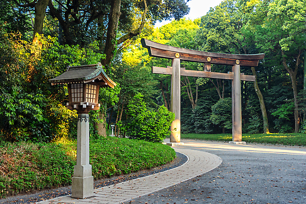 포토 JPG 해외이미지 남자 대문 A 사당 선두 해외202008 해외포토 알파벳 사람 문 파일형식