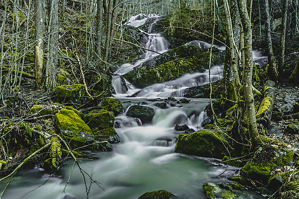 포토 JPG 해외이미지 노르웨이 폭포 중앙 숲 A 타운 스칸디나비아 해외202008 해외포토 알파벳 유럽 자연 도시 파일형식