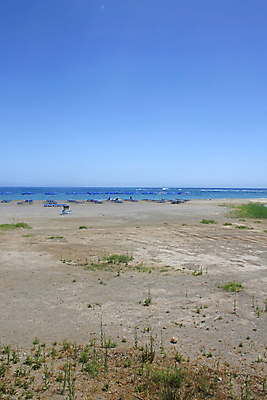 포토 JPG 해외이미지 계절 섬 백그라운드 인쇄 해외202008 해외포토 파일형식