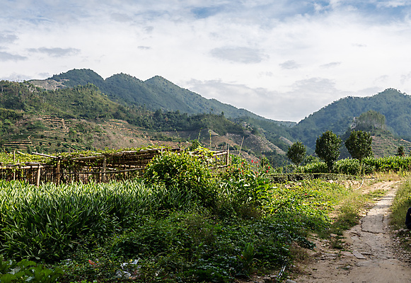 포토 JPG 해외이미지 재산 땅 사방 해외202008 해외포토 금융 파일형식