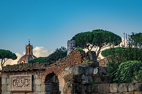 포토 JPG 해외이미지 이탈리아 로마 로마인 포럼 해외202008 해외포토 유럽 인종 토론 파일형식