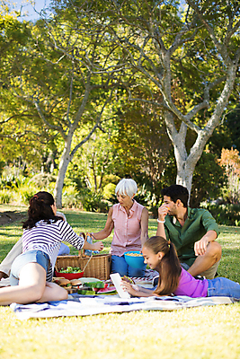 포토 JPG 해외이미지 주간 서양인 나무 공원 여자 노년 남자 딸 행복 할머니 어린이 엎드리기 가족 엄마 여러명 성인 야외 앞모습 옆모습 뒷모습 아웃포커스 독서 소풍 맑음 아빠 돗자리 소풍바구니 해외202008 해외포토 자연요소 외국인 식물 공공시설 감정 뷰포인트 다수 관계 모션 날씨 촬영기법 사람 야외활동 바구니 파일형식