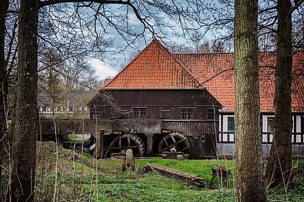 포토 JPG 해외이미지 옛날 해외202008 해외포토 파일형식