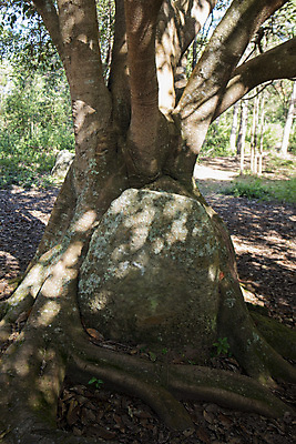 포토 JPG 해외이미지 2 아침 땅 북쪽 타운 평야 해외202008 해외포토 주간 자연 도시 방향 파일형식