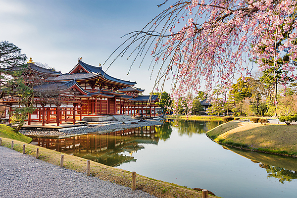 포토 JPG 해외이미지 불교 정원 도시 사찰 홀 교토 봉황 해외202008 해외포토 종교 종교건축 일본 공간 파일형식