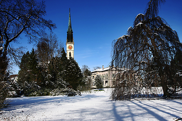 포토 JPG 해외이미지 나무 공원 함께함 교회 일반 해외202008 해외포토 식물 공공시설 컨셉 종교건축 건물 파일형식
