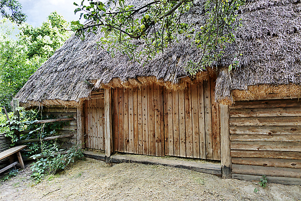 포토 JPG 해외이미지 전통 지붕 건조 함께함 초록색 울타리 정원 시골 A 외양간 사방 옛날 우크라이나 해외202008 해외포토 알파벳 유럽 컬러 컨셉 담장 파일형식