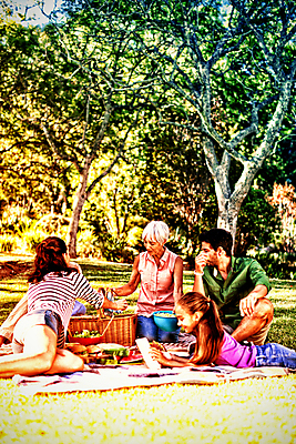 포토 JPG 해외이미지 주간 서양인 나무 공원 여자 노년 남자 딸 할머니 어린이 엎드리기 가족 엄마 앉기 여러명 상반신 성인 야외 앞모습 옆모습 뒷모습 아웃포커스 독서 소풍 아빠 돗자리 소풍바구니 해외202008 해외포토 자연요소 외국인 식물 공공시설 뷰포인트 다수 관계 모션 촬영기법 사람 야외활동 바구니 파일형식