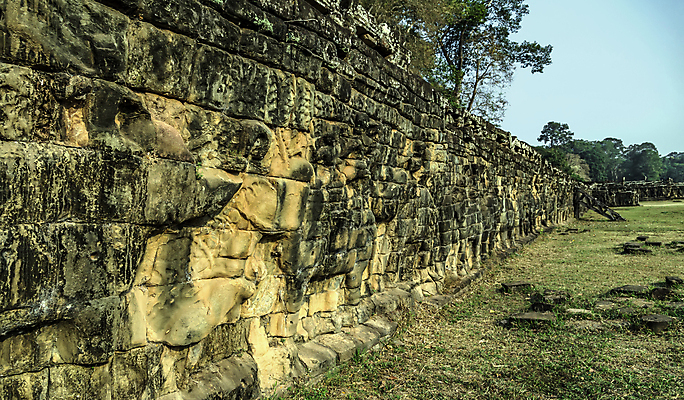 포토 JPG 해외이미지 벽 코끼리 해외202008 해외포토 포유류 파일형식