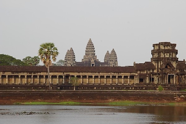 포토 JPG 해외이미지 나무 함께함 세트 태양 시간 사찰 황금 캄보디아 해외202008 해외포토 자연요소 식물 아시아 컨셉 종교건축 파일형식