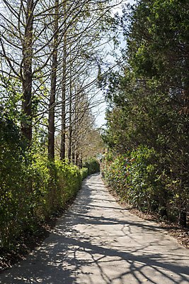 포토 JPG 주간 계절 여행 자연 풍경 사람없음 야외 가을풍경 산책 산책로 가을 편안함 감성 국내포토 자연요소 길 컨셉 휴식 감각 생태계 파일형식 가을_계절