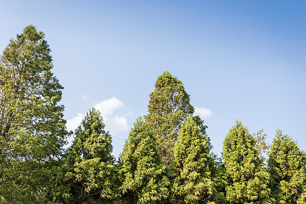 포토 JPG 주간 계절 여행 자연 풍경 사람없음 야외 가을풍경 산책 가을 편안함 감성 국내포토 자연요소 컨셉 휴식 감각 생태계 파일형식 가을_계절