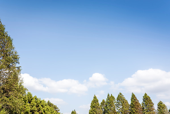 포토 JPG 주간 계절 여행 자연 풍경 사람없음 야외 가을풍경 산책 가을 편안함 감성 국내포토 자연요소 컨셉 휴식 감각 생태계 파일형식 가을_계절