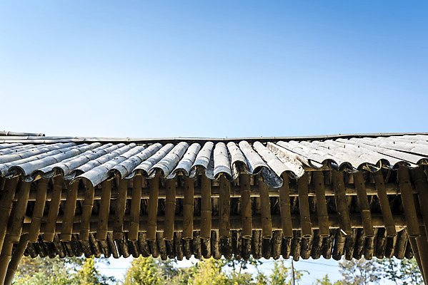 포토 JPG 주간 나무 계절 여행 자연 풍경 사람없음 야외 문 가을풍경 가을 편안함 감성 국내포토 자연요소 식물 컨셉 감각 생태계 파일형식 가을_계절