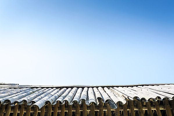 포토 JPG 주간 나무 계절 여행 자연 풍경 사람없음 야외 문 가을풍경 가을 편안함 감성 국내포토 자연요소 식물 컨셉 감각 생태계 파일형식 가을_계절