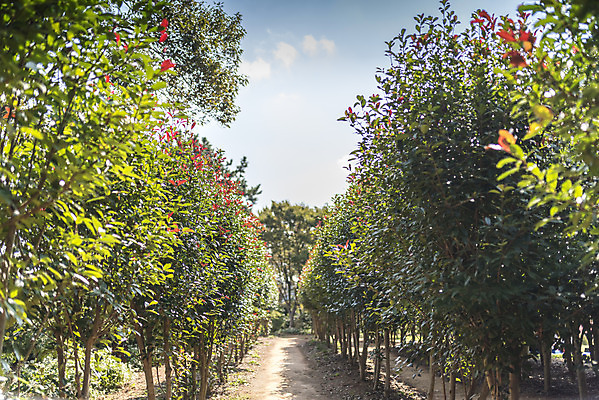 포토 JPG 주간 계절 여행 자연 풍경 사람없음 야외 가을풍경 가을 편안함 감성 국내포토 자연요소 컨셉 감각 생태계 파일형식 가을_계절