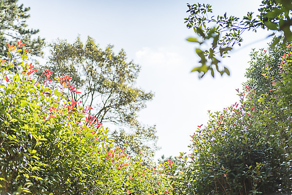 포토 JPG 주간 계절 여행 자연 풍경 사람없음 야외 가을풍경 가을 편안함 감성 국내포토 자연요소 컨셉 감각 생태계 파일형식 가을_계절
