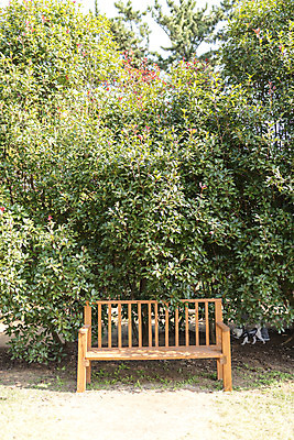 포토 JPG 주간 계절 여행 벤치 자연 풍경 사람없음 야외 가을풍경 가을 편안함 감성 국내포토 자연요소 컨셉 의자 감각 생태계 파일형식 가을_계절