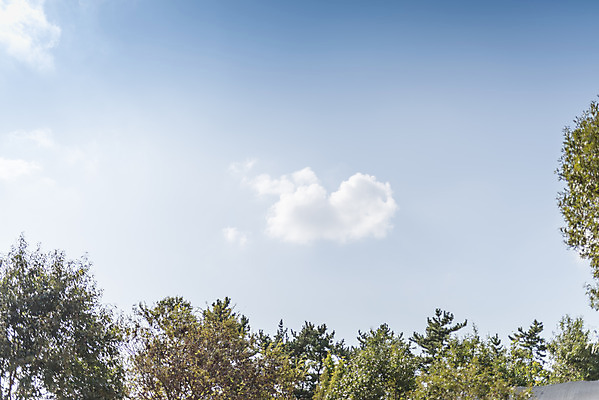 포토 JPG 주간 계절 여행 자연 풍경 사람없음 야외 가을풍경 가을 편안함 감성 국내포토 자연요소 컨셉 감각 생태계 파일형식 가을_계절