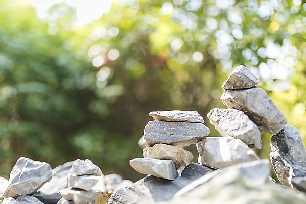 포토 JPG 주간 계절 여행 자연 돌담 풍경 사람없음 야외 가을풍경 가을 편안함 감성 국내포토 자연요소 컨셉 담장 돌_바위 감각 생태계 파일형식 가을_계절