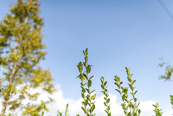 포토 JPG 주간 계절 여행 자연 풍경 사람없음 야외 가을풍경 가을 편안함 감성 국내포토 자연요소 컨셉 감각 생태계 파일형식 가을_계절