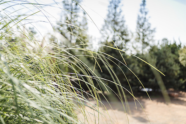 포토 JPG 주간 계절 여행 자연 풍경 사람없음 야외 가을풍경 가을 편안함 감성 국내포토 자연요소 컨셉 감각 생태계 파일형식 가을_계절
