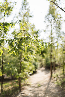 포토 JPG 주간 계절 여행 자연 풍경 사람없음 야외 가을풍경 가을 편안함 감성 국내포토 자연요소 컨셉 감각 생태계 파일형식 가을_계절