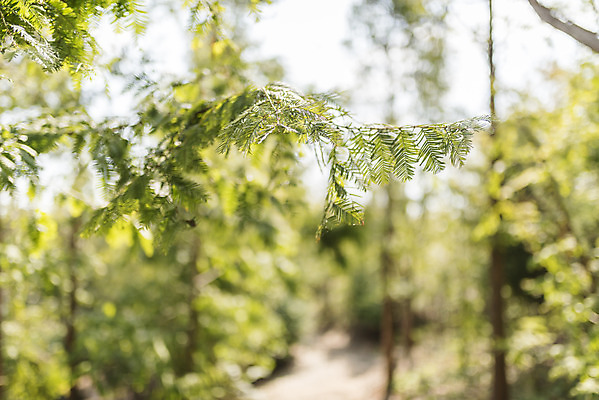 포토 JPG 주간 계절 여행 자연 풍경 사람없음 야외 가을풍경 가을 편안함 감성 국내포토 자연요소 컨셉 감각 생태계 파일형식 가을_계절
