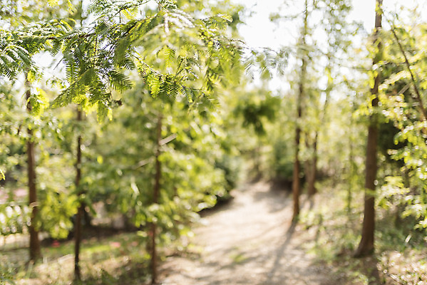 포토 JPG 주간 계절 여행 자연 풍경 사람없음 야외 가을풍경 가을 편안함 감성 국내포토 자연요소 컨셉 감각 생태계 파일형식 가을_계절