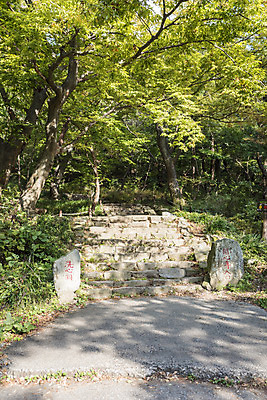 포토 JPG 주간 나무 여행 자연 한국 풍경 사람없음 야외 가을풍경 가을 사찰 돌계단 서산 개심사 국내포토 자연요소 식물 계절 아시아 종교건축 계단 돌_바위 충청남도 생태계 파일형식 가을_계절