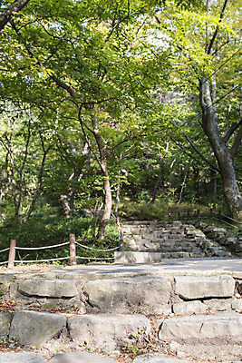 포토 JPG 주간 나무 여행 자연 한국 풍경 사람없음 야외 가을풍경 가을 사찰 돌계단 서산 개심사 국내포토 자연요소 식물 계절 아시아 종교건축 계단 돌_바위 충청남도 생태계 파일형식 가을_계절