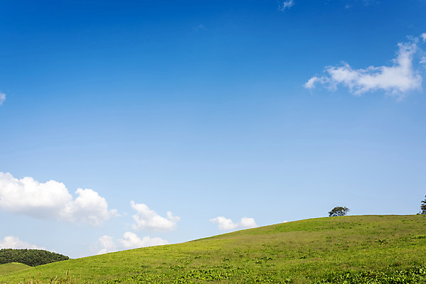 포토 JPG 주간 구름 여행 자연 하늘 한국 풍경 사람없음 야외 가을풍경 가을 서산 국내포토 자연요소 계절 아시아 충청남도 생태계 파일형식 가을_계절
