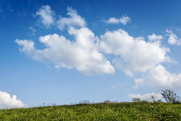 포토 JPG 주간 구름 여행 자연 하늘 한국 풍경 사람없음 야외 가을풍경 가을 서산 국내포토 자연요소 계절 아시아 충청남도 생태계 파일형식 가을_계절