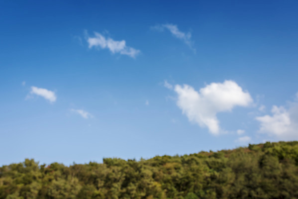 포토 JPG 주간 나무 구름 여행 자연 하늘 한국 풍경 사람없음 야외 가을풍경 가을 서산 국내포토 자연요소 식물 계절 아시아 충청남도 생태계 파일형식 가을_계절