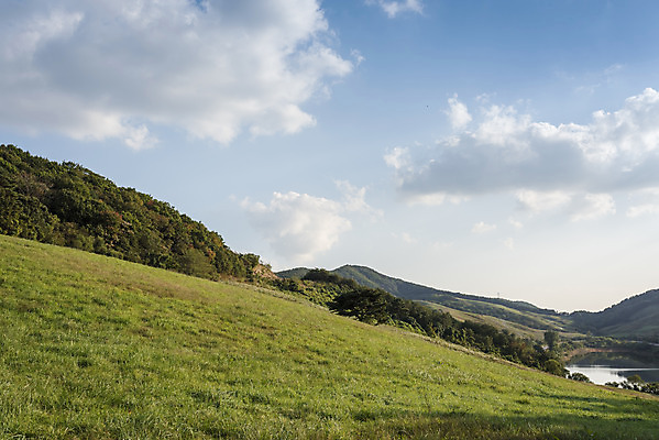 포토 JPG 주간 나무 구름 여행 자연 하늘 한국 풍경 사람없음 야외 가을풍경 가을 서산 국내포토 자연요소 식물 계절 아시아 충청남도 생태계 파일형식 가을_계절